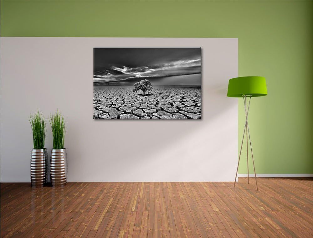 Pixxprint Monocrome, der Letzte Baum im ausgetrockneten Boden, Format: 100x70 auf Leinwand, XXL ries