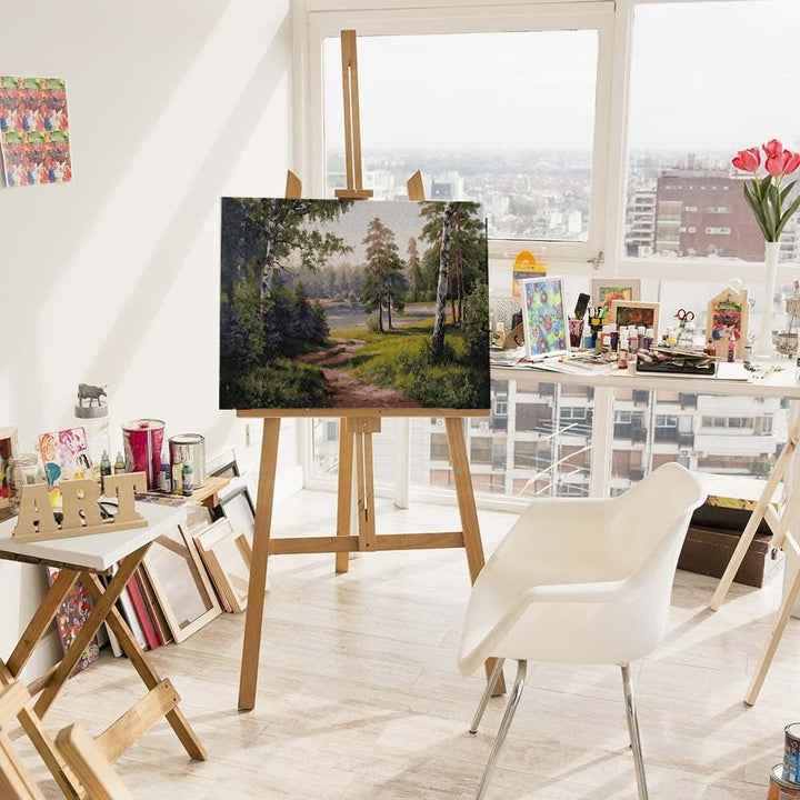 Artnapi Malen nach Zahlen Erwachsene mit Rahmen | DIY Handgemalt | Natur - Forststrasse | Kit für An