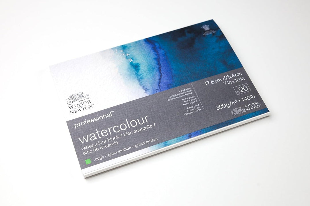 Winsor & Newton 6664010 Professional Aquarellpapier im Block - 20 Blatt 22,9 x 30,5cm, 300g/m², Grob