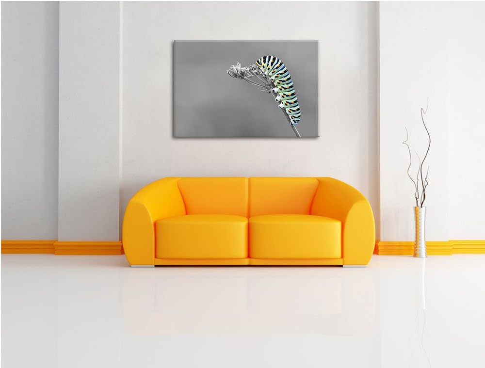 Grüne Raupe auf Ast Insekten Urwald Tiere schwarz/weiss Format: 100x70 auf Leinwand, XXL riesige Bil