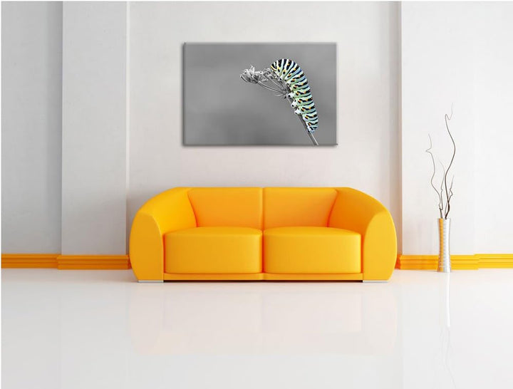 Grüne Raupe auf Ast Insekten Urwald Tiere schwarz/weiss Format: 100x70 auf Leinwand, XXL riesige Bil