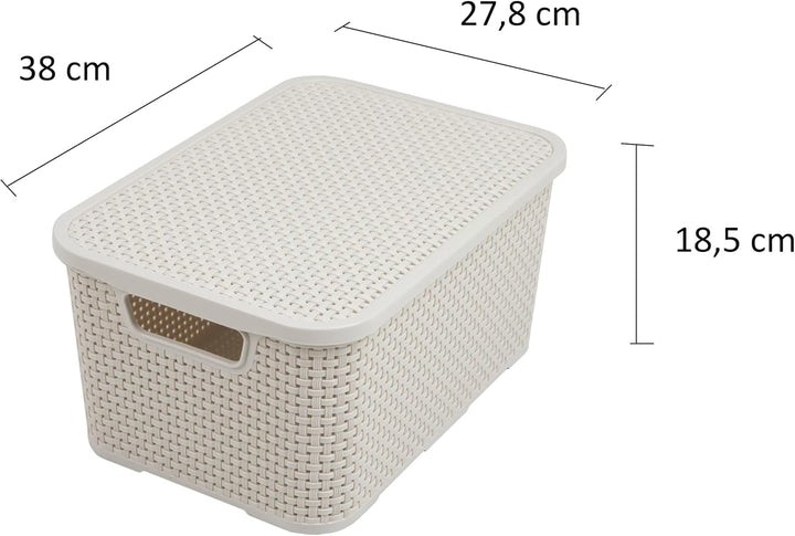 BranQ - Home essential Deckel Korb in Rattan Design 2er Set Grösse L 19l, Kunststoff PP, Creme, 19 l