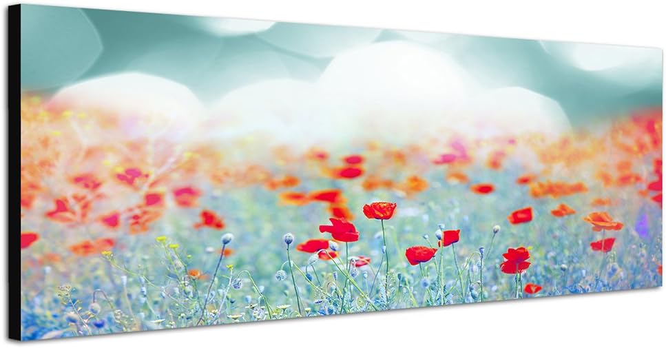 Paul Sinus Art Panoramabild auf Leinwand und Keilrahmen 150x50cm Mohnblumen Wiese Sommer Sonnenunter