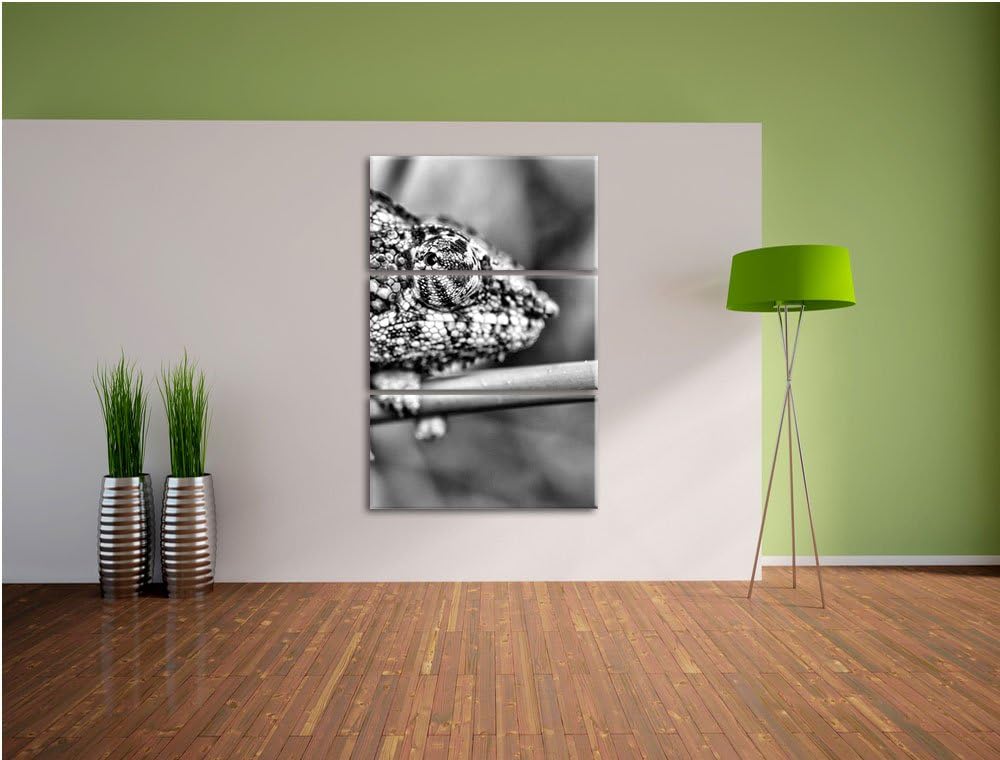 Pixxprint buntes Pantherchamäleon als Leinwandbild/Grösse: 3 Teilig (120x80) cm/Wandbild/Kunstdruck/