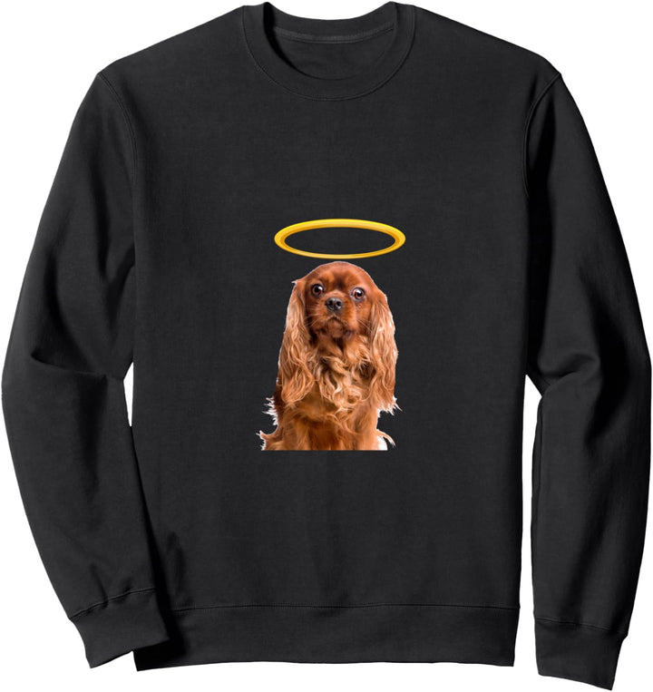 Holy Dog Cavalier King Charles Brown Sweatshirt