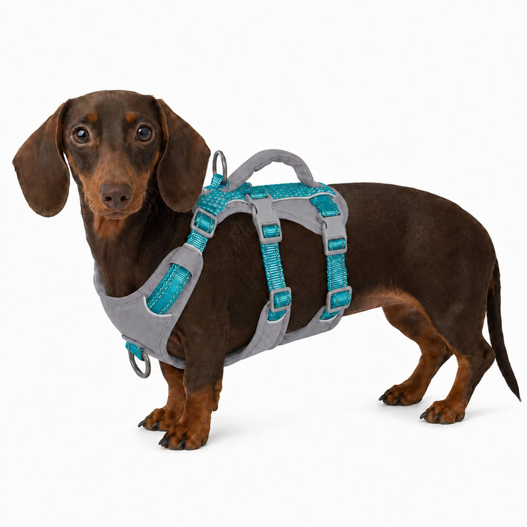 Huntboo Sicherheitsgeschirr Hund Ausbruchsicher, Panikgeschirr für Hunde, Reflektierendes Geschirr H