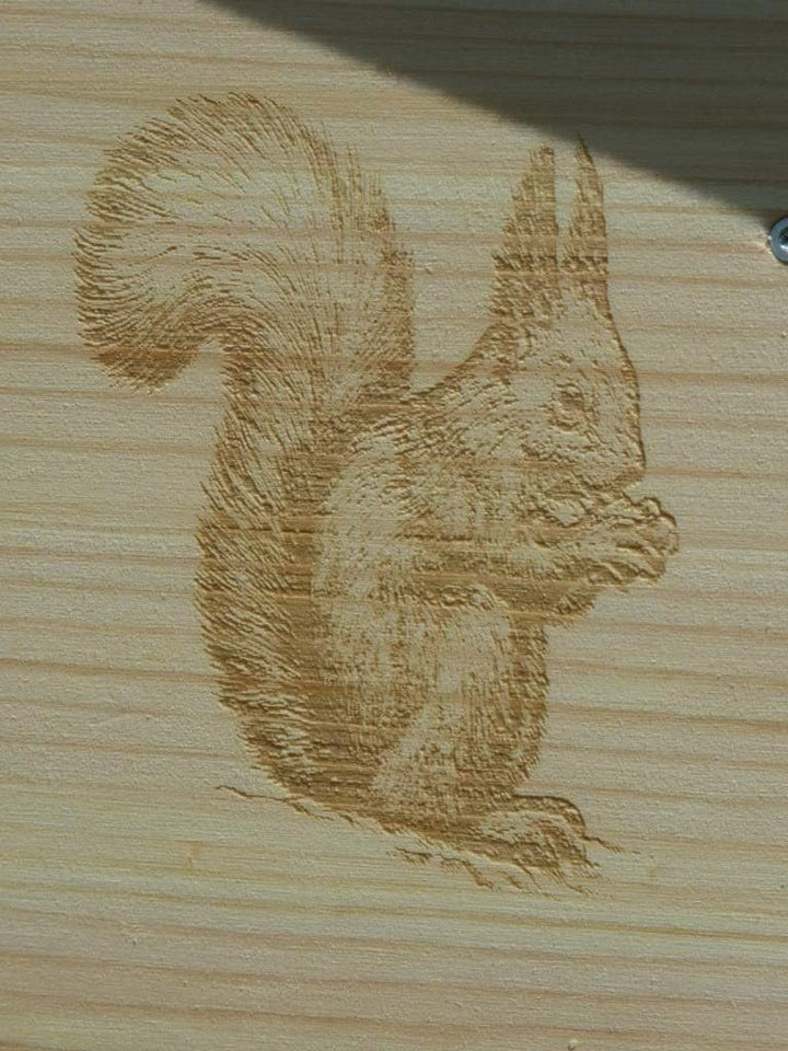 XXXL Echhörnchen Kobel/Futterhaus hochwertigem Vollholz, niederbayerisches Qualitätsprodukt vom Schr
