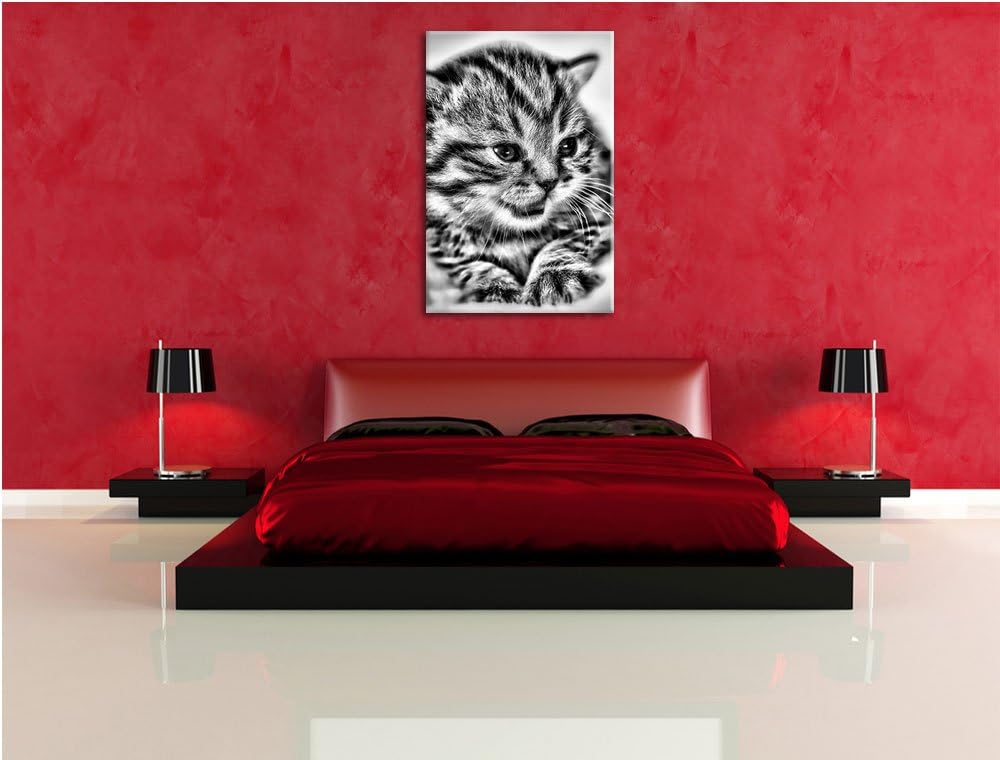 Pixxprint Monocrome, kleines Kätzchen auf weisser Decke, Format: 100x70 auf Leinwand, XXL riesige Bi
