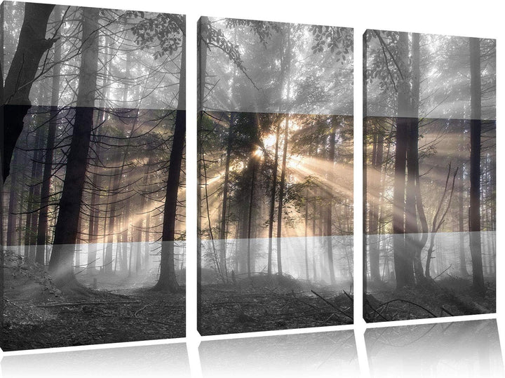 Pixxprint Herbstwald im Nebel als Leinwandbild | Grösse: 3 Teilig (120x80) | Wandbild| Kunstdruck |