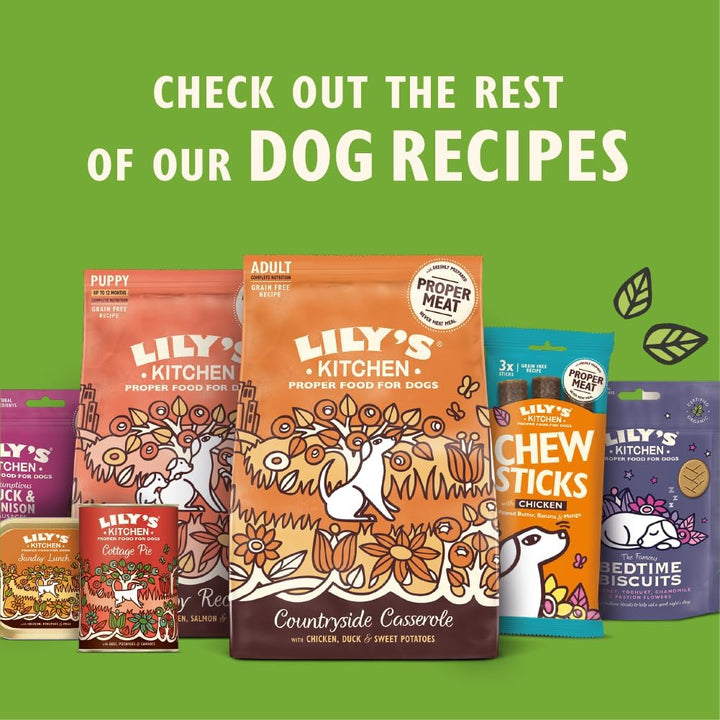 Lily's Kitchen natürliches Trockenfutter für ausgewachsene Hunde Huhn und Ente Getreidefreies Rezept