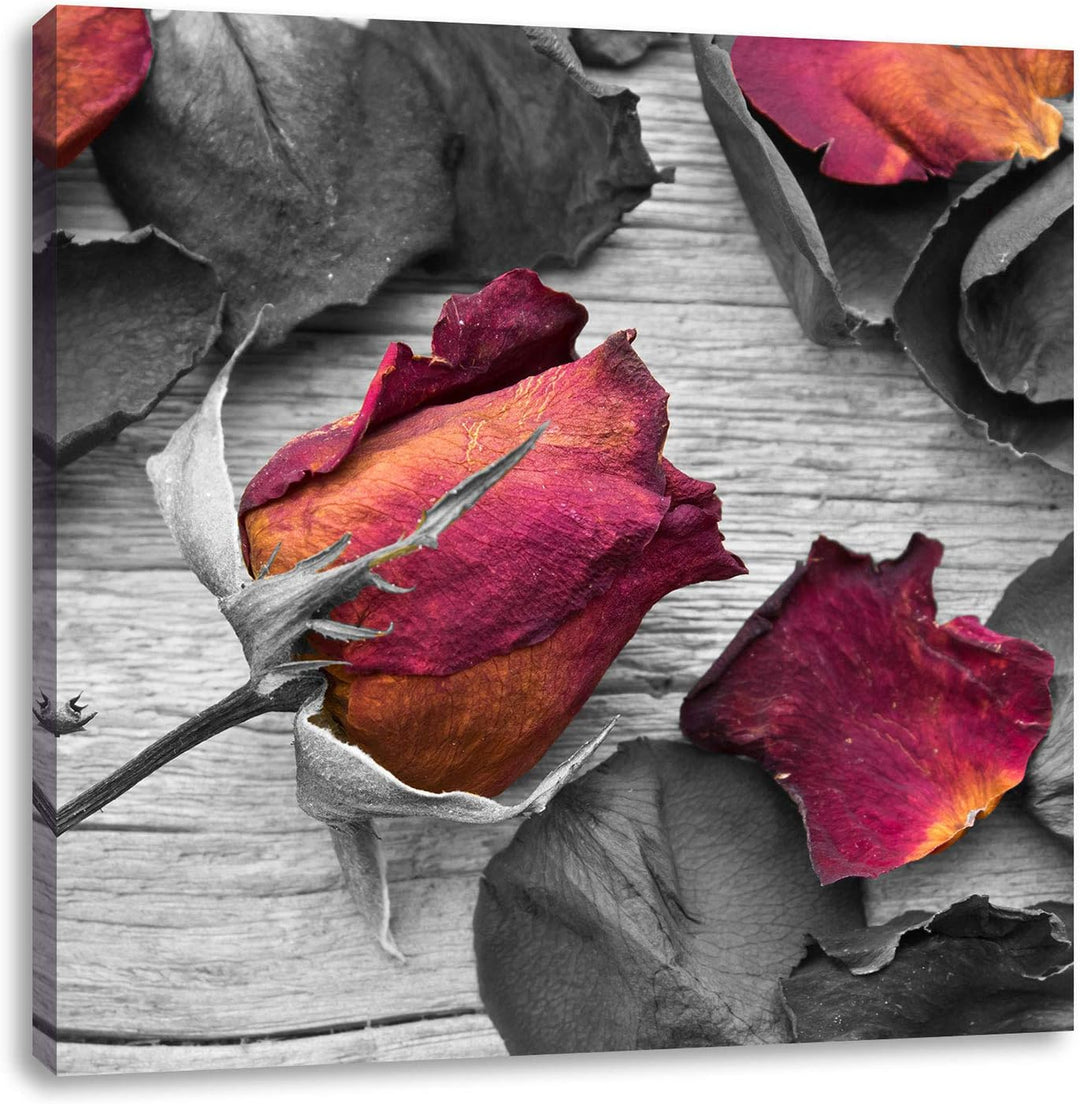 Pixxprint getrocknete Rosen auf Holztisch als Leinwandbild/Grösse: 70x70 cm/Wandbild/Kunstdruck/fert