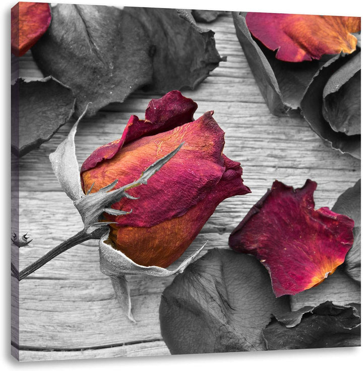 Pixxprint getrocknete Rosen auf Holztisch als Leinwandbild/Grösse: 70x70 cm/Wandbild/Kunstdruck/fert