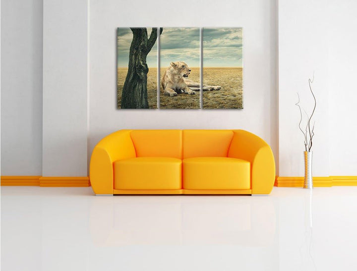 Pixxprint Löwin Ruhe Savanne 3-Teiler Leinwandbild 120x80 Bild auf Leinwand