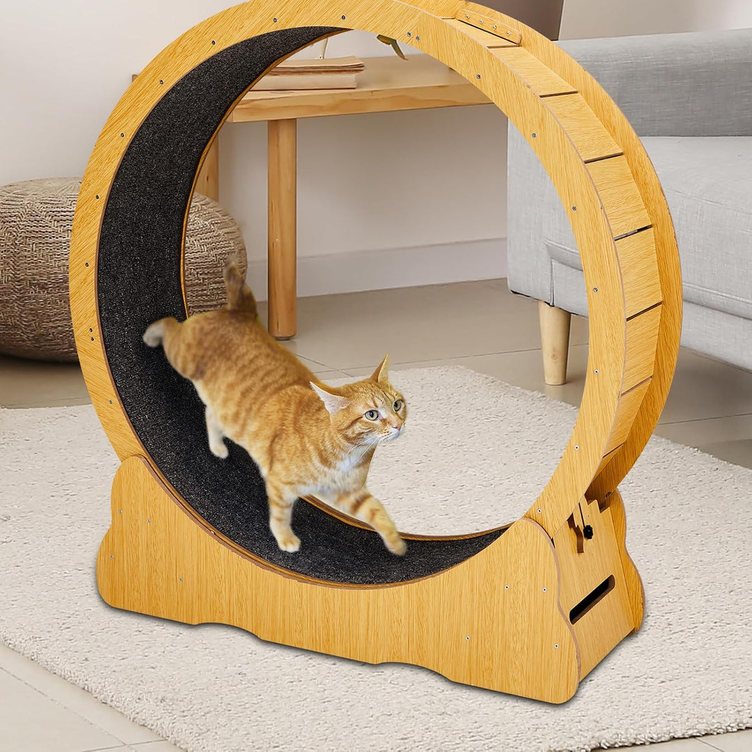 LEADZM Katzenlaufrad | 100cm Durchmesser - Laufrad Katze für grosse Katzen - Hochdichte Faserplatte,
