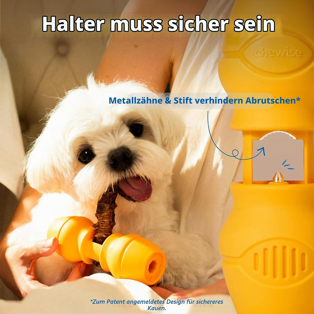 PetClan Chewise Bully Stick Halter – Sicherheit &amp; Robustes Design, BPA-frei, Sicherer Ochsenziemer-H