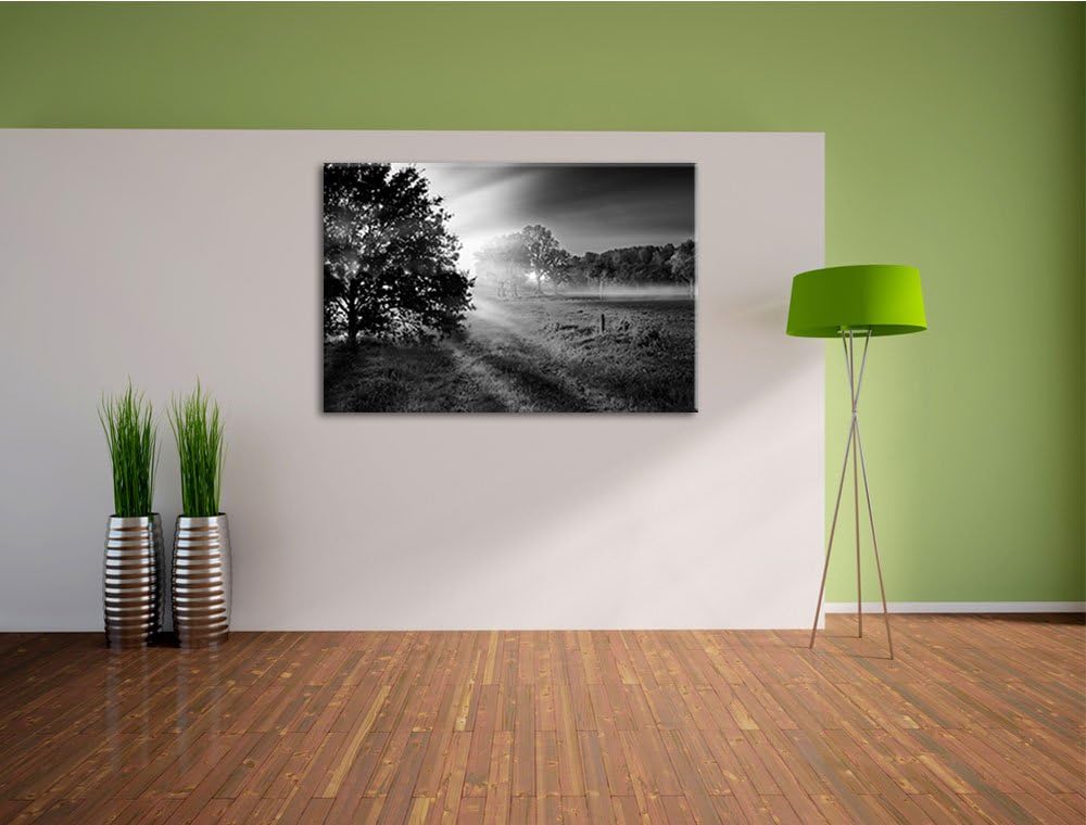 schöne Lichtung im Wald schwarz/weiss Format: 100x70 auf Leinwand, XXL riesige Bilder fertig gerahmt
