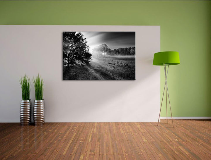 schöne Lichtung im Wald schwarz/weiss Format: 100x70 auf Leinwand, XXL riesige Bilder fertig gerahmt