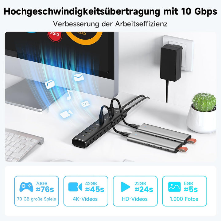RSHTECH Alle 10 Gbps USB 3.2 Hub mit Netzteil, 4 Type A, 6 Type C - H10C6, 10