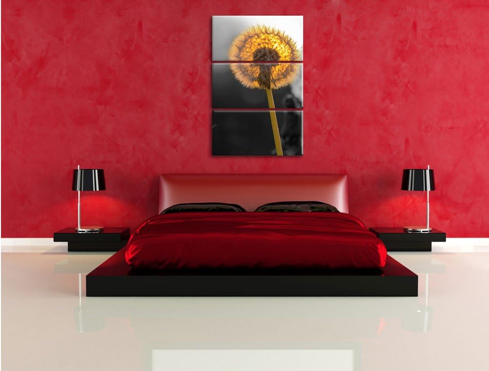 Pixxprint schöne Pusteblumen beim Sonnenuntergang schwarz/weiss 3-Teiler Leinwandbild 120x80 Bild au