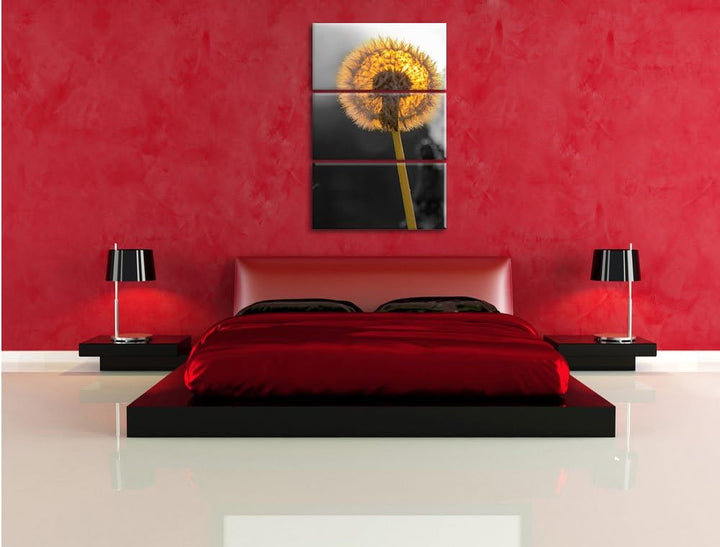 Pixxprint schöne Pusteblumen beim Sonnenuntergang schwarz/weiss 3-Teiler Leinwandbild 120x80 Bild au