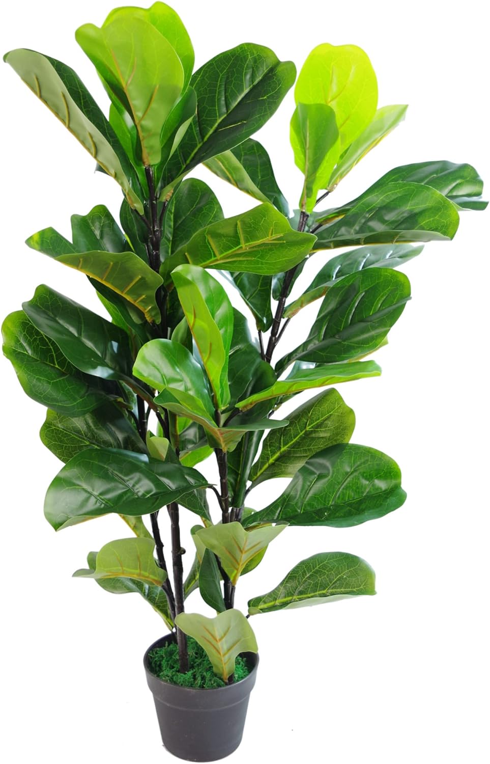 Leaf Design UK Künstliche Pflanze Fiddle Fig Baum, schwarzer Kunststofftopf, 90 cm 90cm (3ft) Fiddle