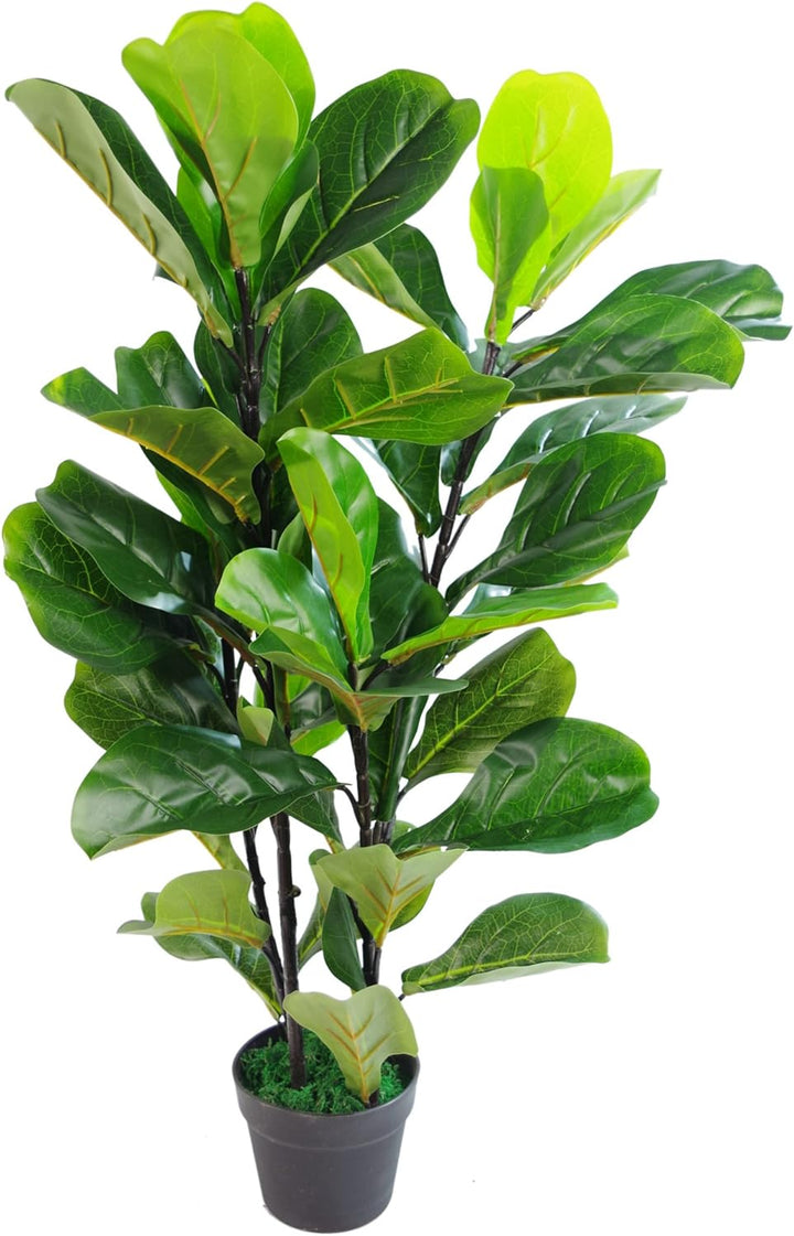 Leaf Design UK Künstliche Pflanze Fiddle Fig Baum, schwarzer Kunststofftopf, 90 cm 90cm (3ft) Fiddle