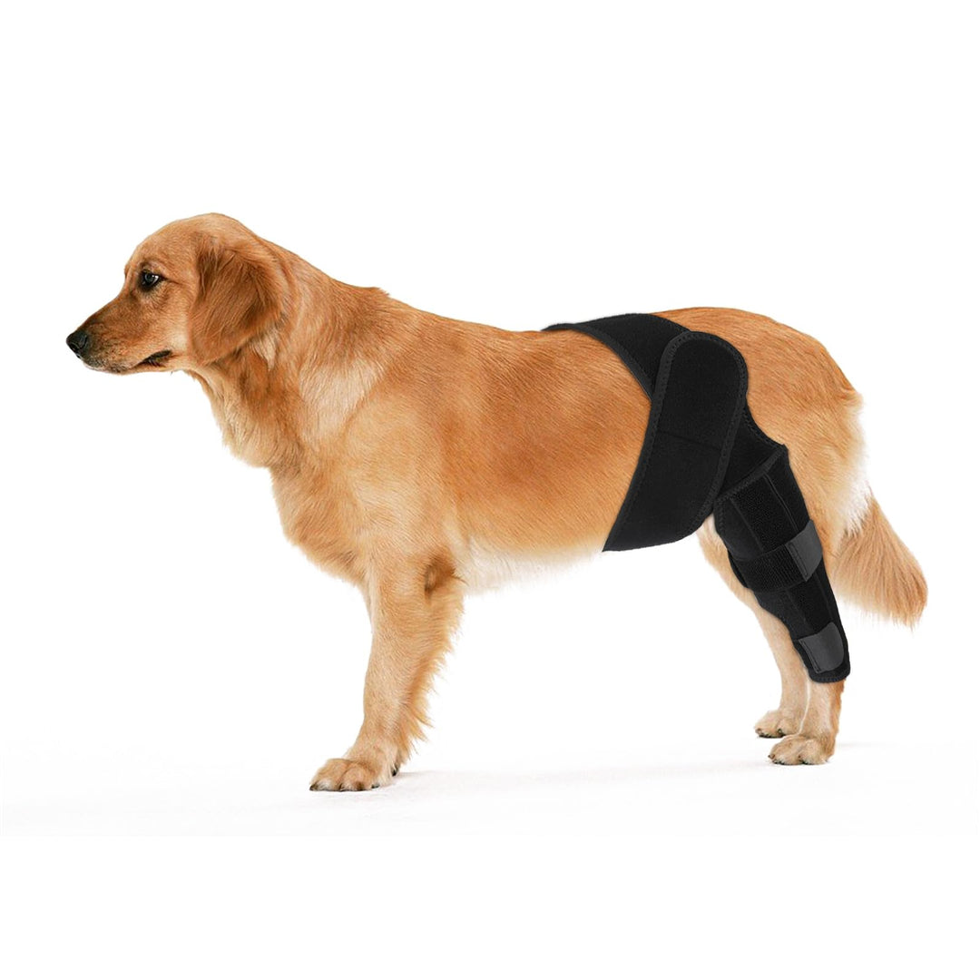 KINBOM Hunde Kniebandage Hinterbein, Hunde Hinterbein Bandage Hunde-ACL-Klammer Hinterbein Hunde-Kni