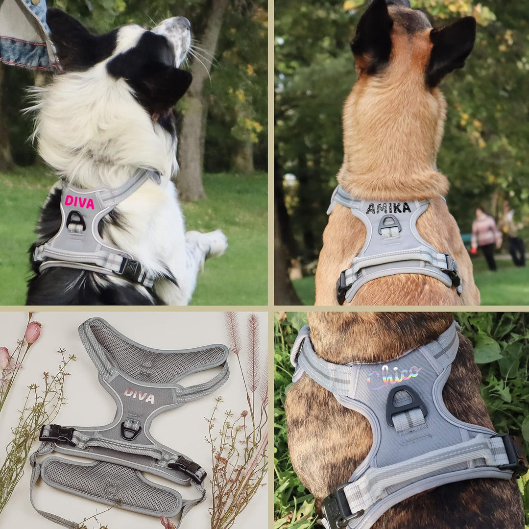 ne&no® Hundegeschirr PERSONALISIERT mit passenden Ruckdämpfer [Developed by NE&NO] Hunde Geschirrset