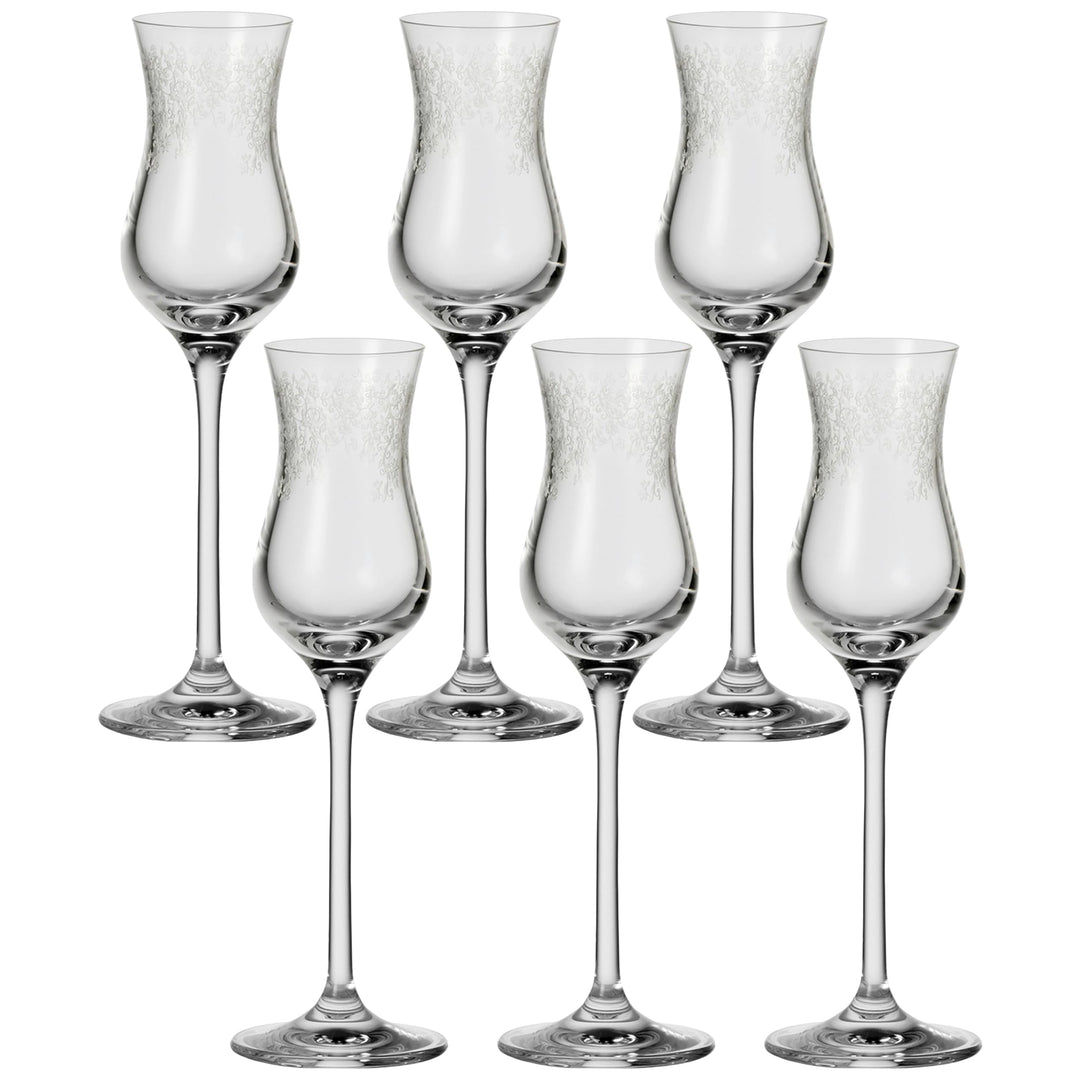 Leonardo Chateau Grappa-Gläser, 6er Set, spülmaschinenfeste Digestif-Gläser, Schnaps-Glas mit gezoge