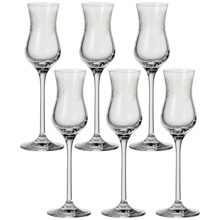 Leonardo Chateau Grappa-Gläser, 6er Set, spülmaschinenfeste Digestif-Gläser, Schnaps-Glas mit gezoge