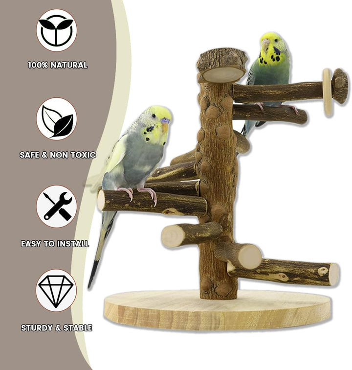 Wellensittich Spielplatz Vogel-Spielplatz für Nymphensittich Papageien Wellensittiche, Holz, Grösse