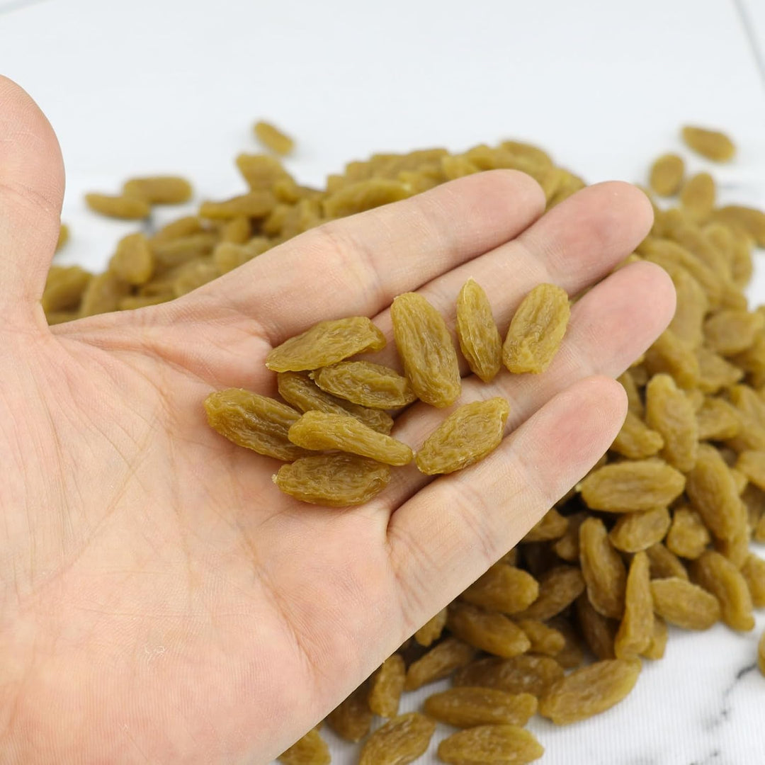 ginojex Künstliche grüne Rosinen 500g (710Pcs) gefälschte getrocknete Früchte für Hauptküche Tisch M