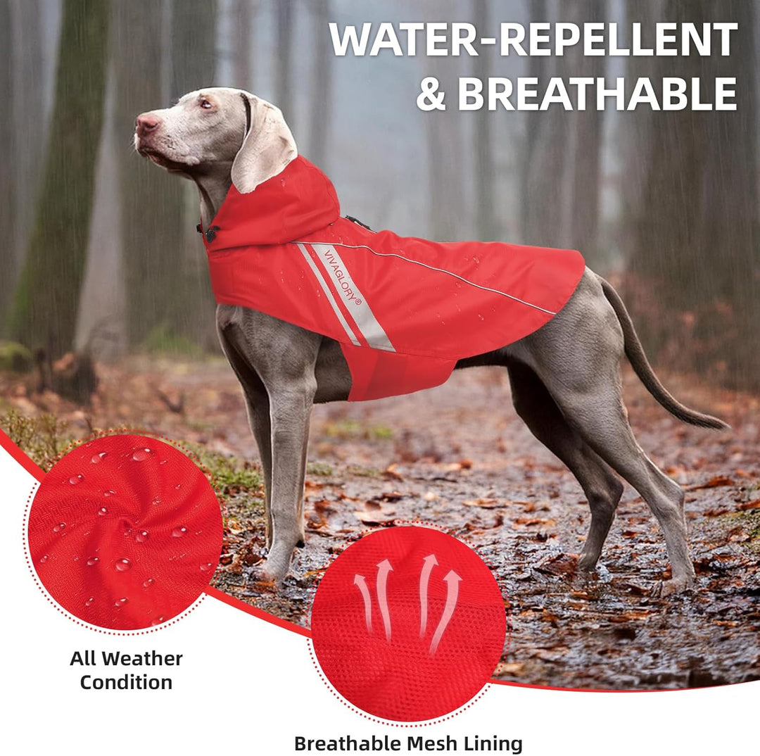 VIVAGLORY Hunderegenmantel für kleine Hunde, leicht an- und ausziehbare Regenbekleidung, reflektiere