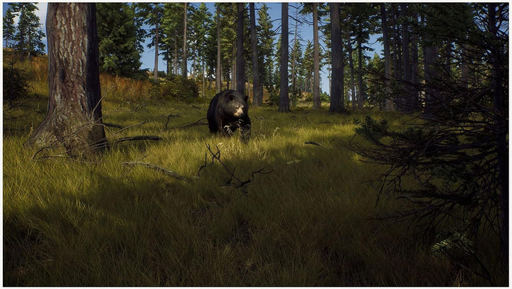 Way of The Hunter