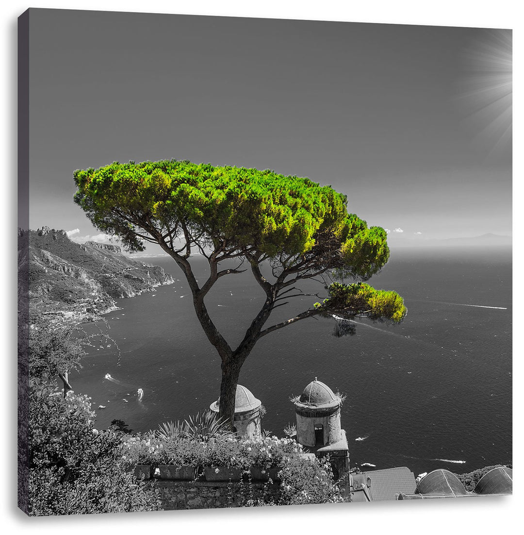 Pixxprint Mediteraner Baum am Mittelmeer schwarz/weiss, Format: 70x70 auf Leinwand, 70x70
