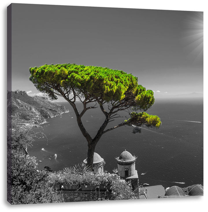Pixxprint Mediteraner Baum am Mittelmeer schwarz/weiss, Format: 70x70 auf Leinwand, 70x70