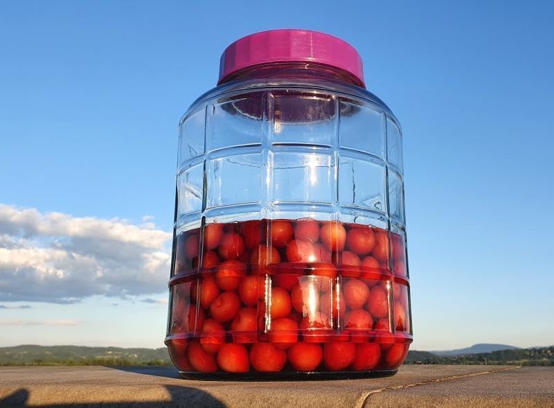 lilawelt24 12L Gärballon| Gärbehälter Weinballon Glasballon+Gäraufsatz für Wein Bier Maische|Vorrats