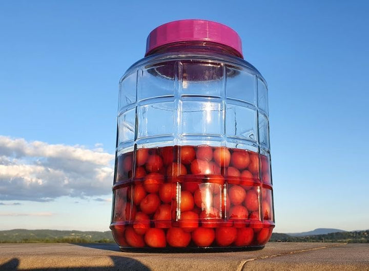 lilawelt24 12L Gärballon| Gärbehälter Weinballon Glasballon+Gäraufsatz für Wein Bier Maische|Vorrats