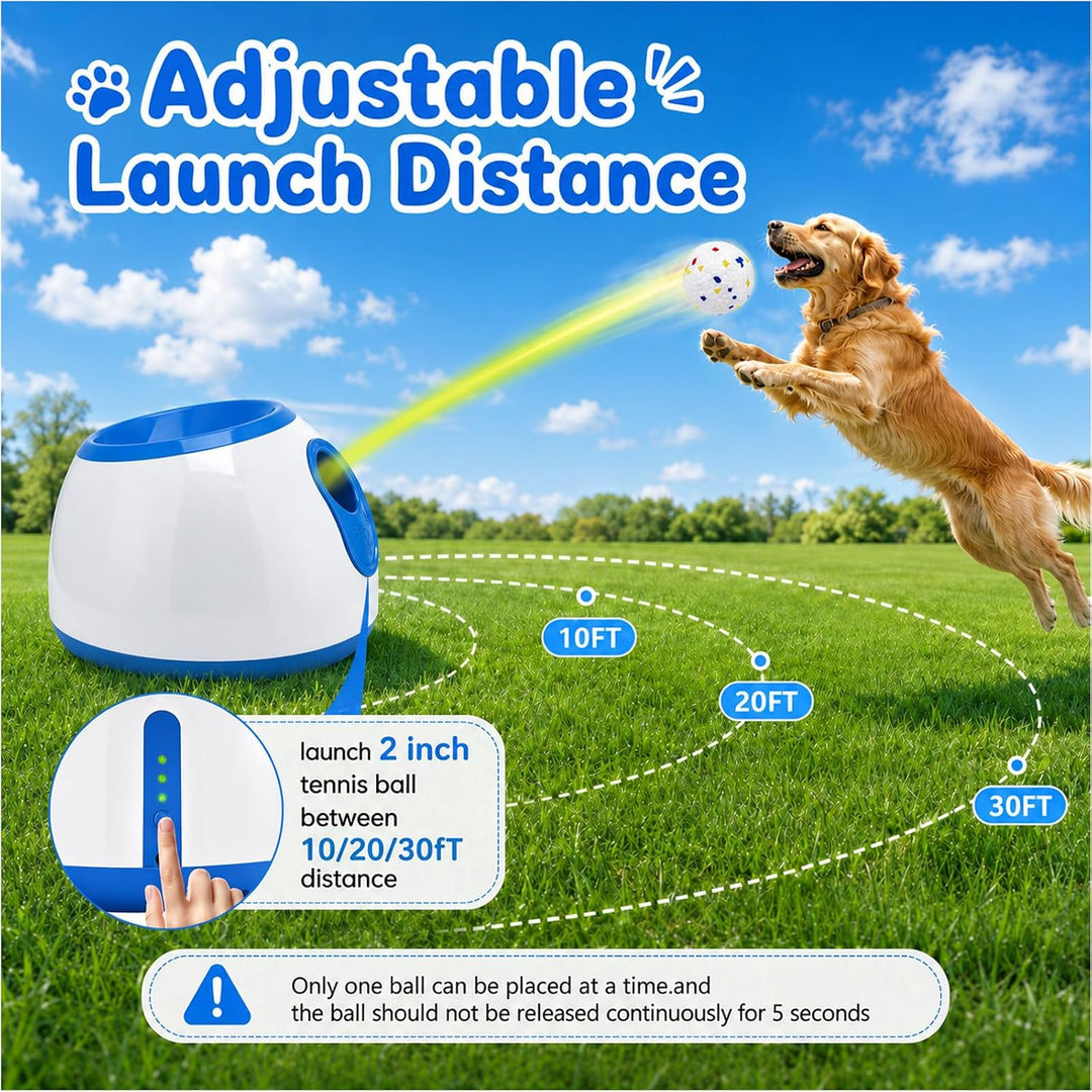 Automatische Ballwurfmaschine Für Hunde, Ballwurfmaschine Hund mit 6 Tennisbällen, Interaktives Hund