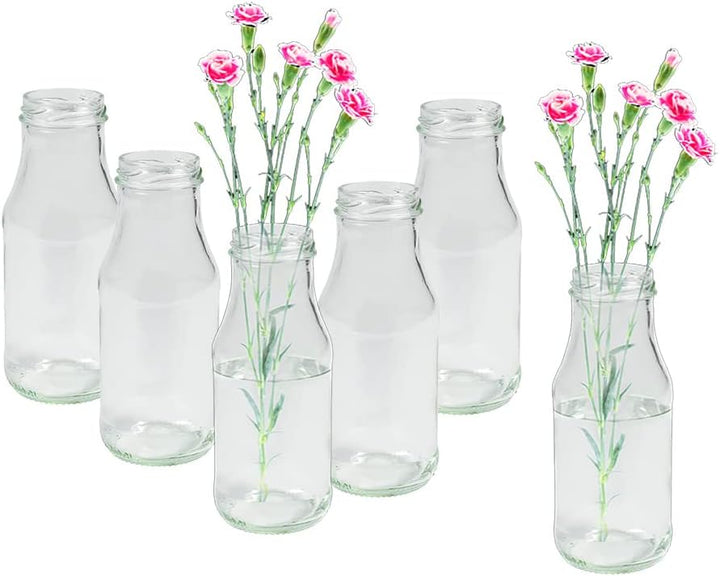 24 Stück Runde Mini Vasen Typ 263 Glasfläschchen kleine Dekoflaschen Flasche Väschen Vase Glasflasch