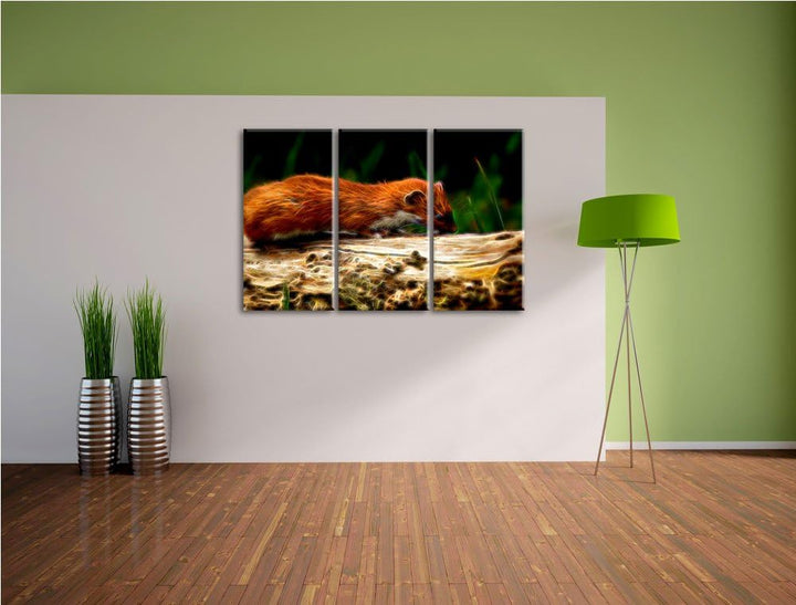 Niedliches Frettchen 3 Teilig, Gesamtgrösse 120x80 cm auf Leinwand, XXL riesige Bilder fertig gerahm
