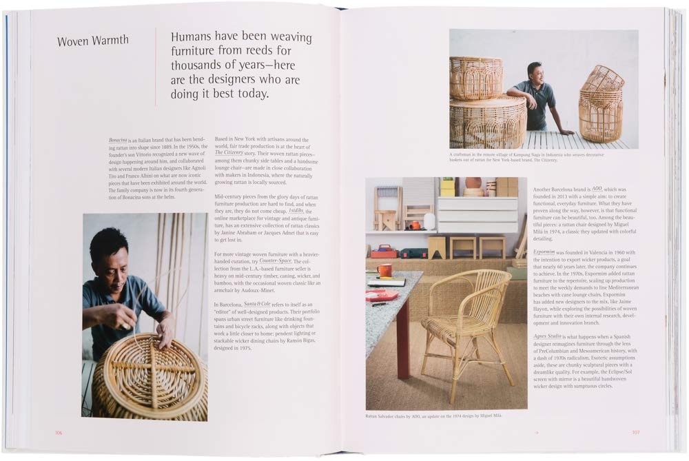 The New Mediterranean: Homes and Interiors under the Southern Sun, Gebundenes Buch