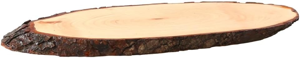 Bütic Holzscheibe Esche oval lackiert B-Ware - Rindenscheibe Baumscheibe Holzbrett ca. 60 x 20 cm, c