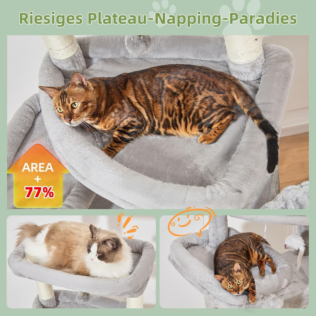 Taoqimiao 180CM Kratzbaum Gross XXL, Katzenbaum Grosse Katzen Stabil kratzbaum Maine Coon mit Katzen