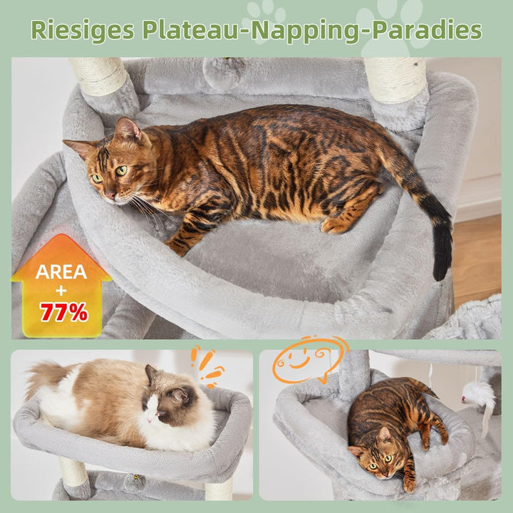 Taoqimiao 180CM Kratzbaum Gross XXL, Katzenbaum Grosse Katzen Stabil kratzbaum Maine Coon mit Katzen