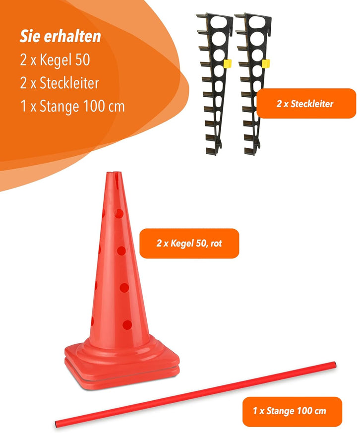 Kombi Leiterhürde 50 mit Stange 100 cm – Parcours-Hindernis für Agility-Training – Sprung- & Slalom-