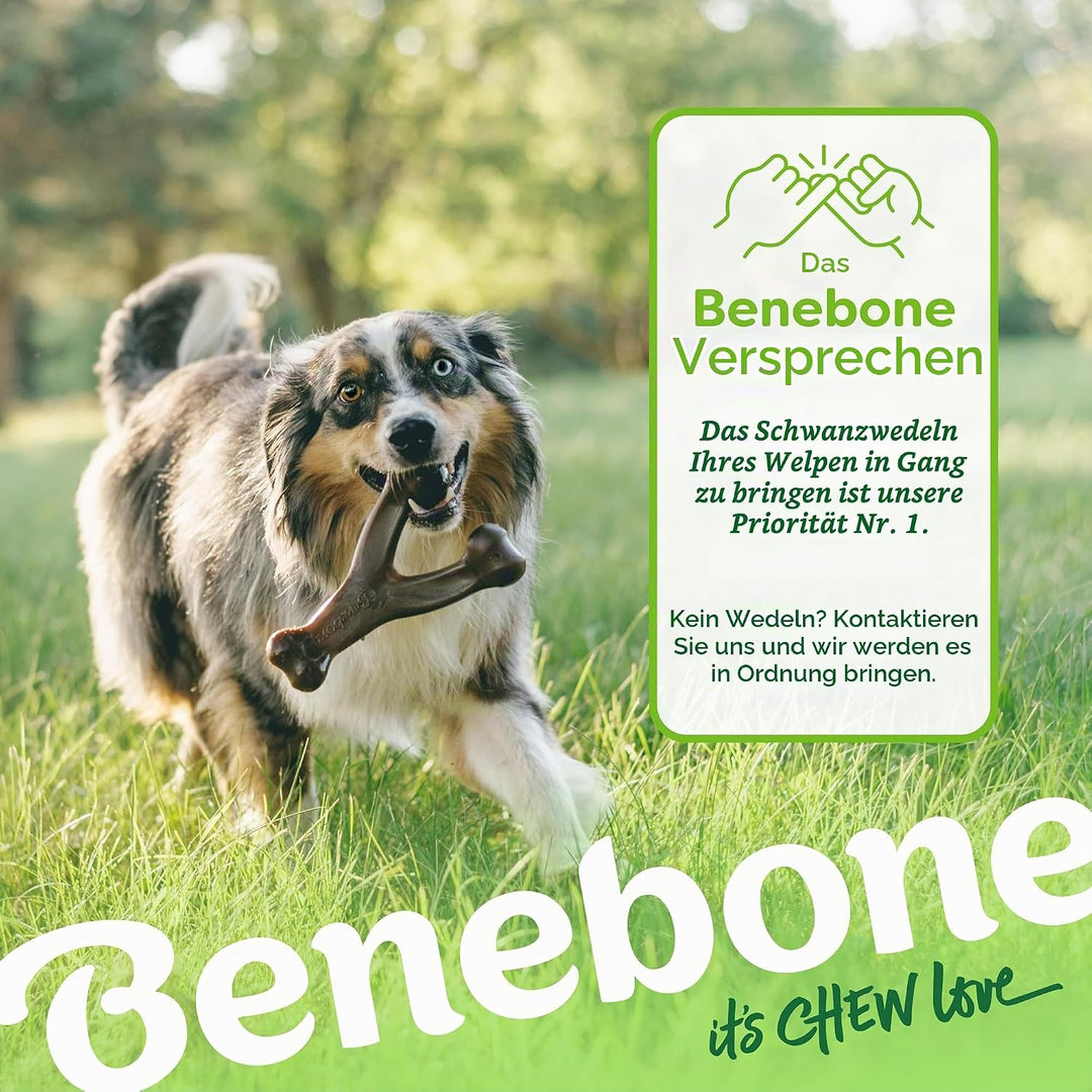 Benebone - Wishbone Bacon 21 cm - (854111004088) Speck Gross, Speck Gross