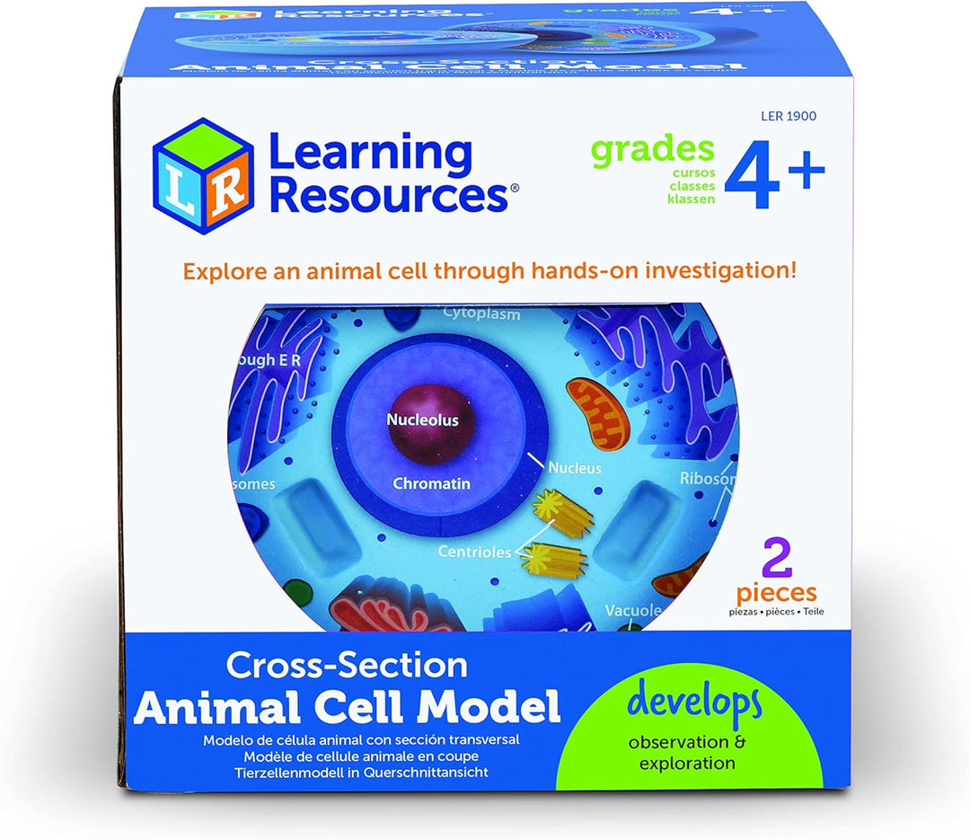 Learning Resources Tierzellenmodell in Querschnittansicht, Ab 7 Jahren, Fördert Verständnis biologis