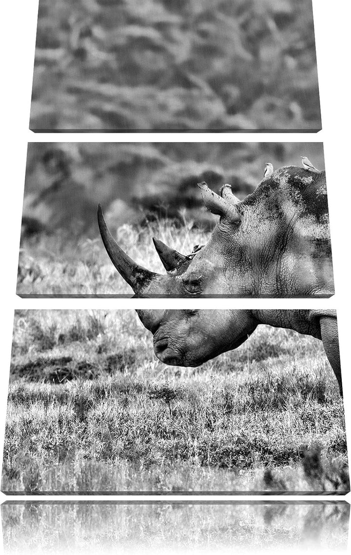 Pixxprint grosses Nashorn in der Savanne als Leinwandbild/Grösse: 3 Teilig (120x80) cm/Wandbild/Kuns