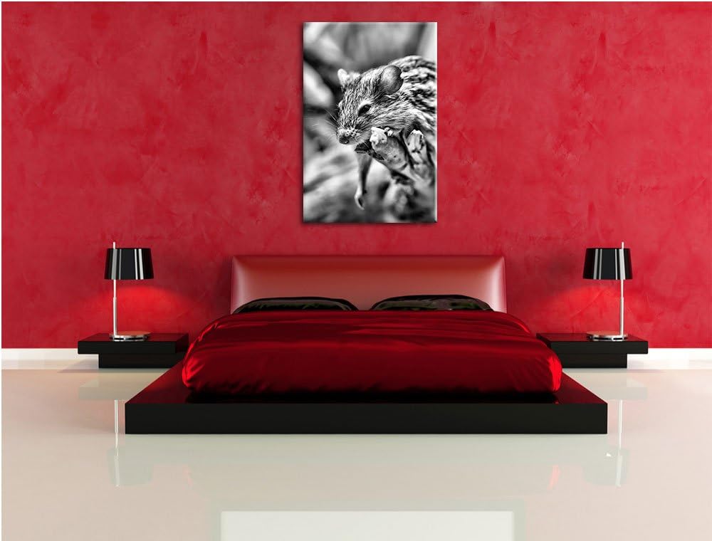 Pixxprint Monocrome, ruhende Feldmaus, Format: 100x70 auf Leinwand, 100x70